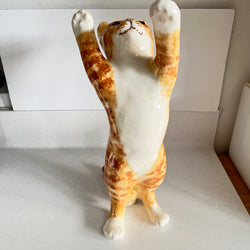Winstanley Ginger Cat Playing - Size 5