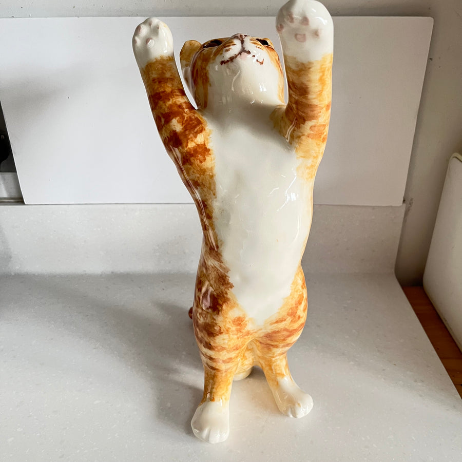 Winstanley Ginger Cat Playing - Size 5