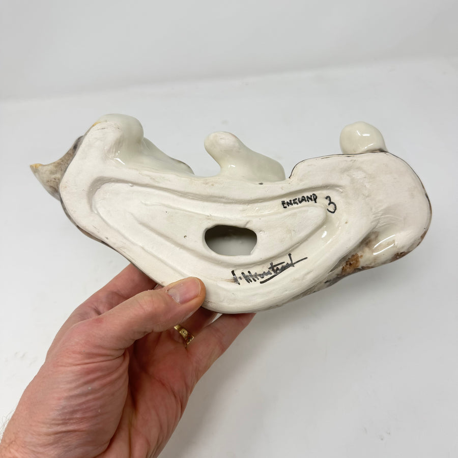 Winstanley Tabby & White Covering Eye - Size 3
