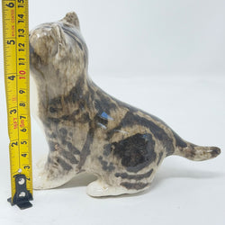 Winstanley Tabby & White Cat Looking Up - Size 1