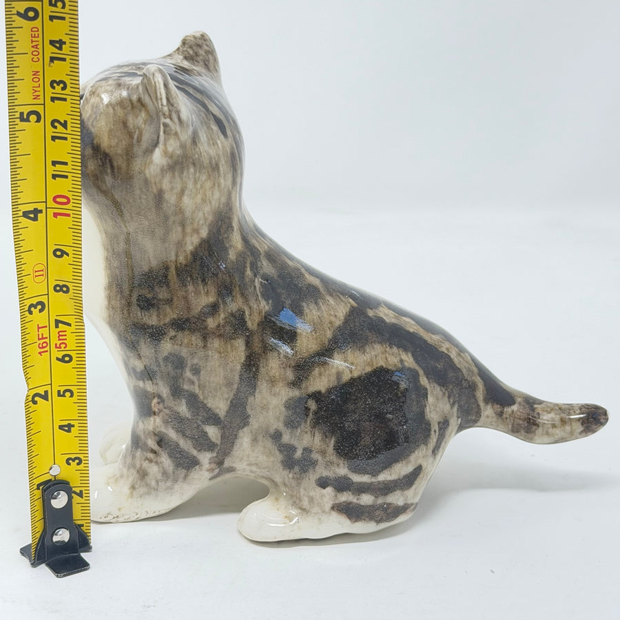 Winstanley Tabby & White Cat Looking Up - Size 1