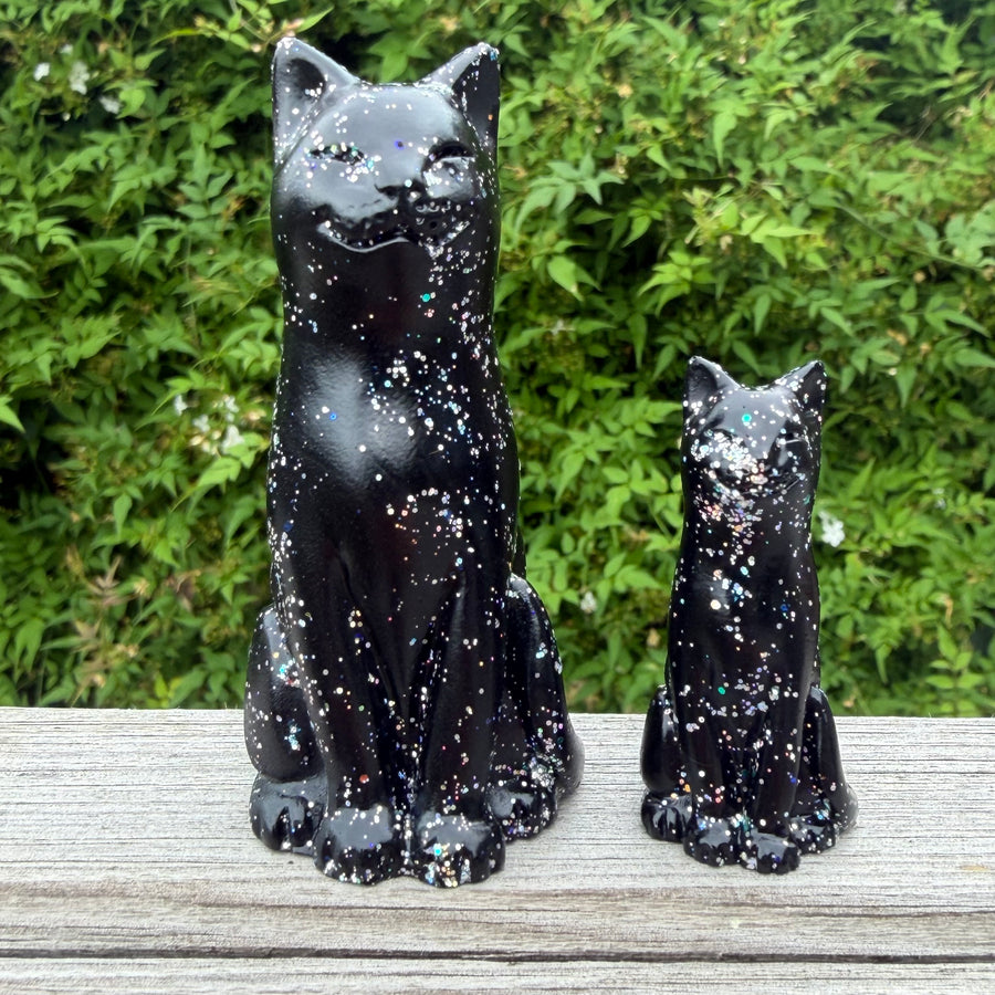 Holographic Black Cat