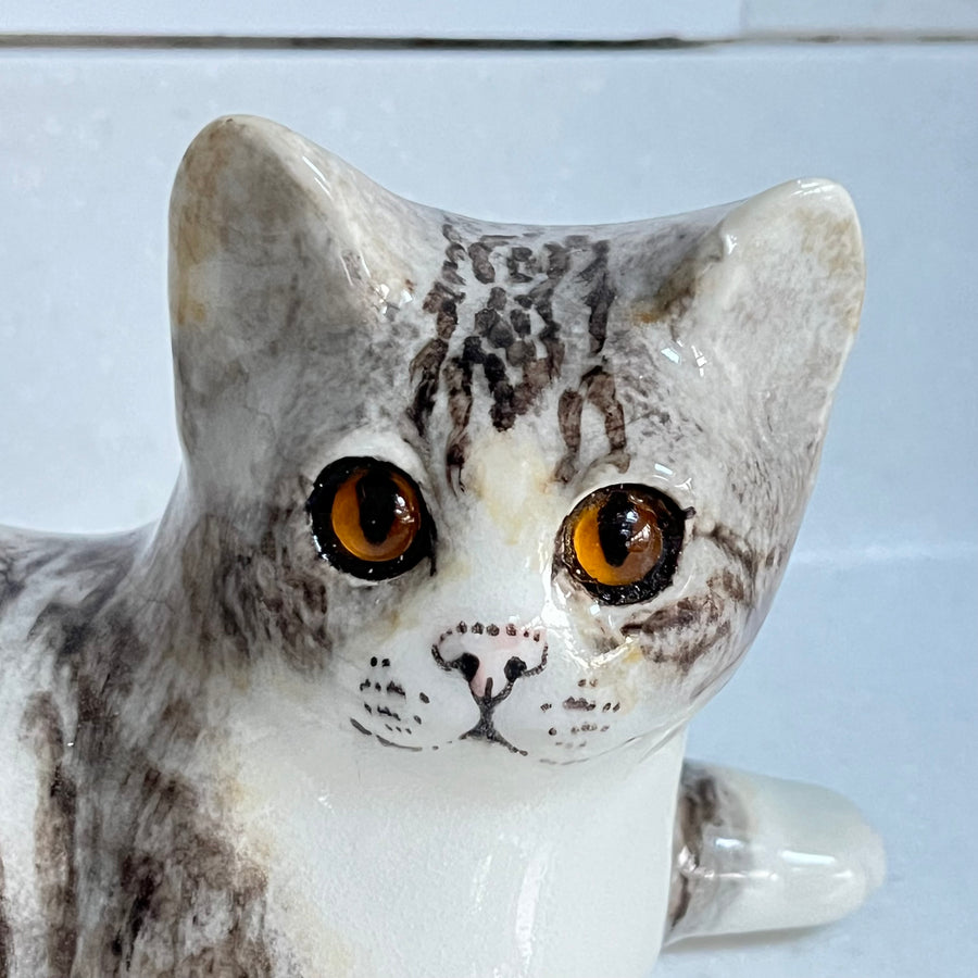 Winstanley Tabby Cat Lying  - Size 3