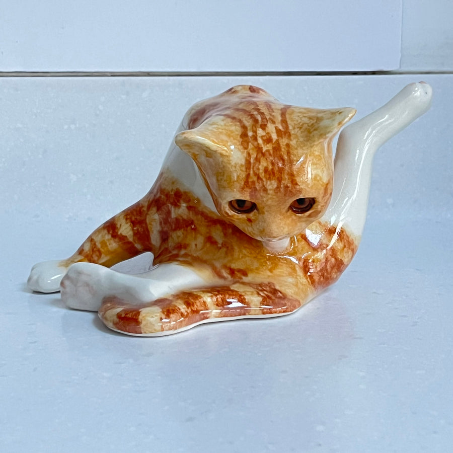 Winstanley Ginger Cat Washing  - Size 3