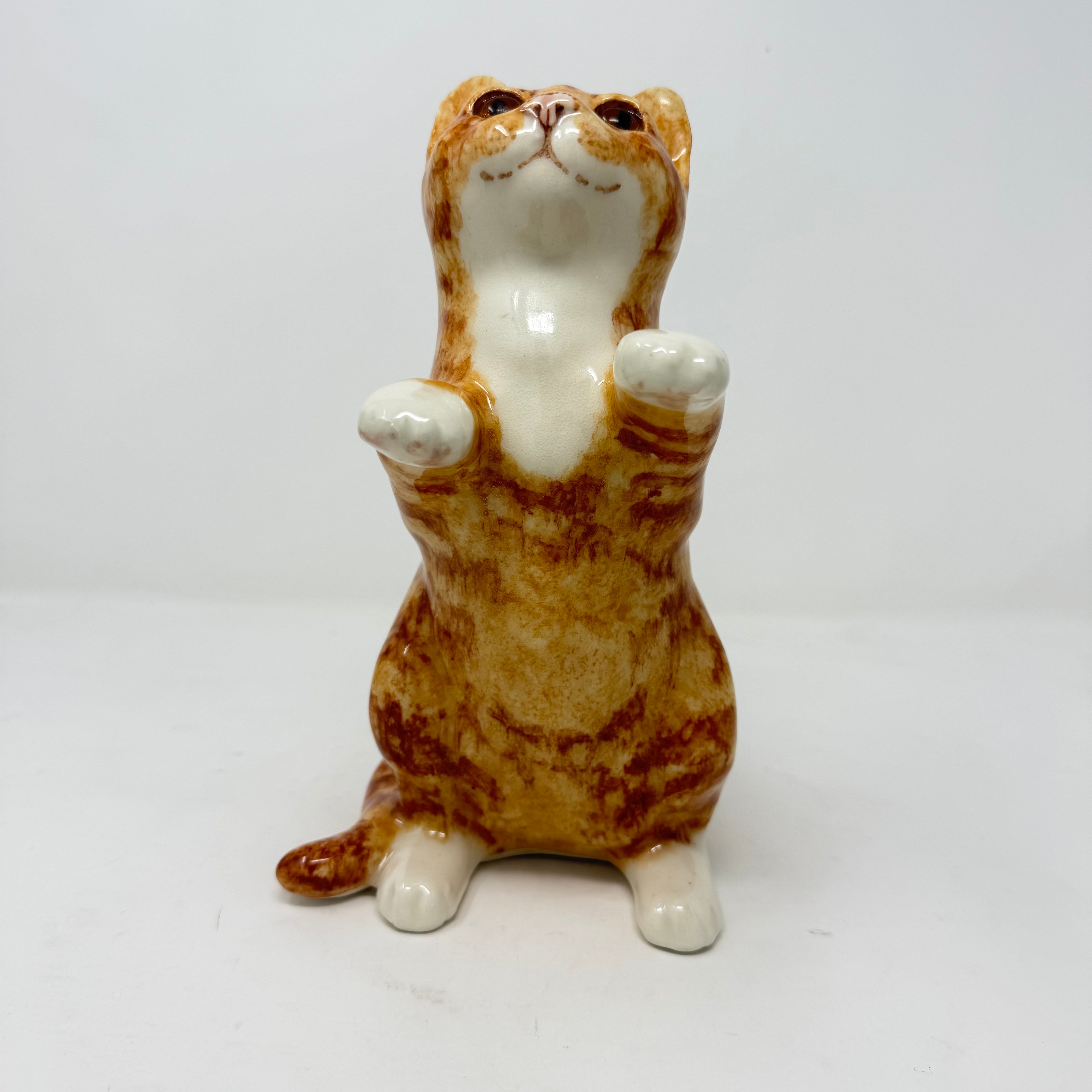 Winstanley Ginger & White Begging Cat - Size 4