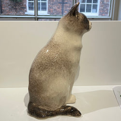 Siamese Winstanley Cat - Size 7