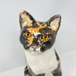 Winstanley Cat Tortoiseshell Size 8