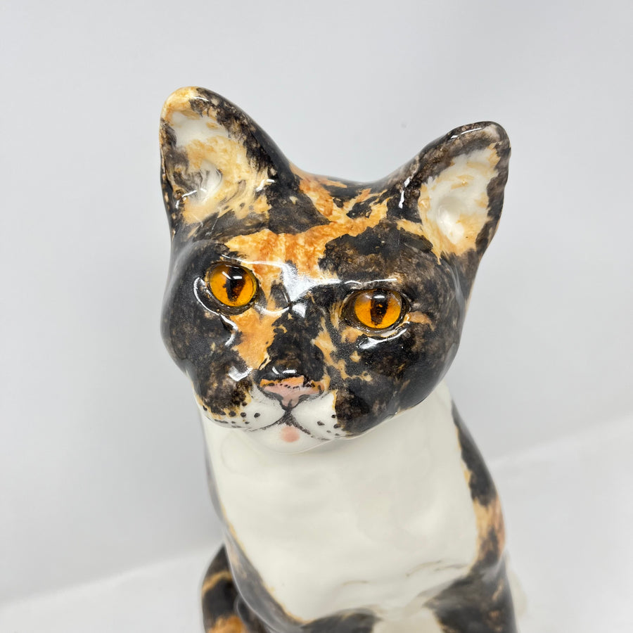Winstanley Cat Tortoiseshell Size 8