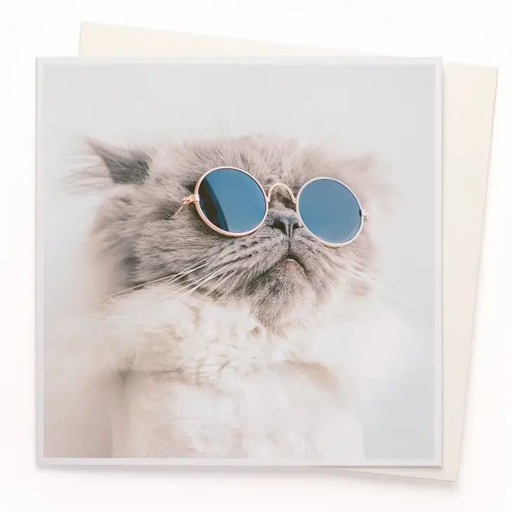 Fabulous Darling Cat Greetings Card, The Cat Gallery