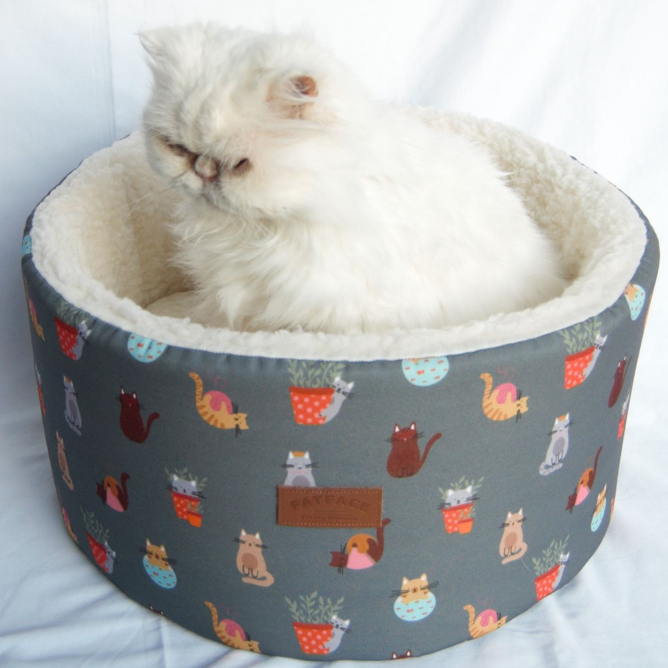 FatFace Cosy Cat Print Bed