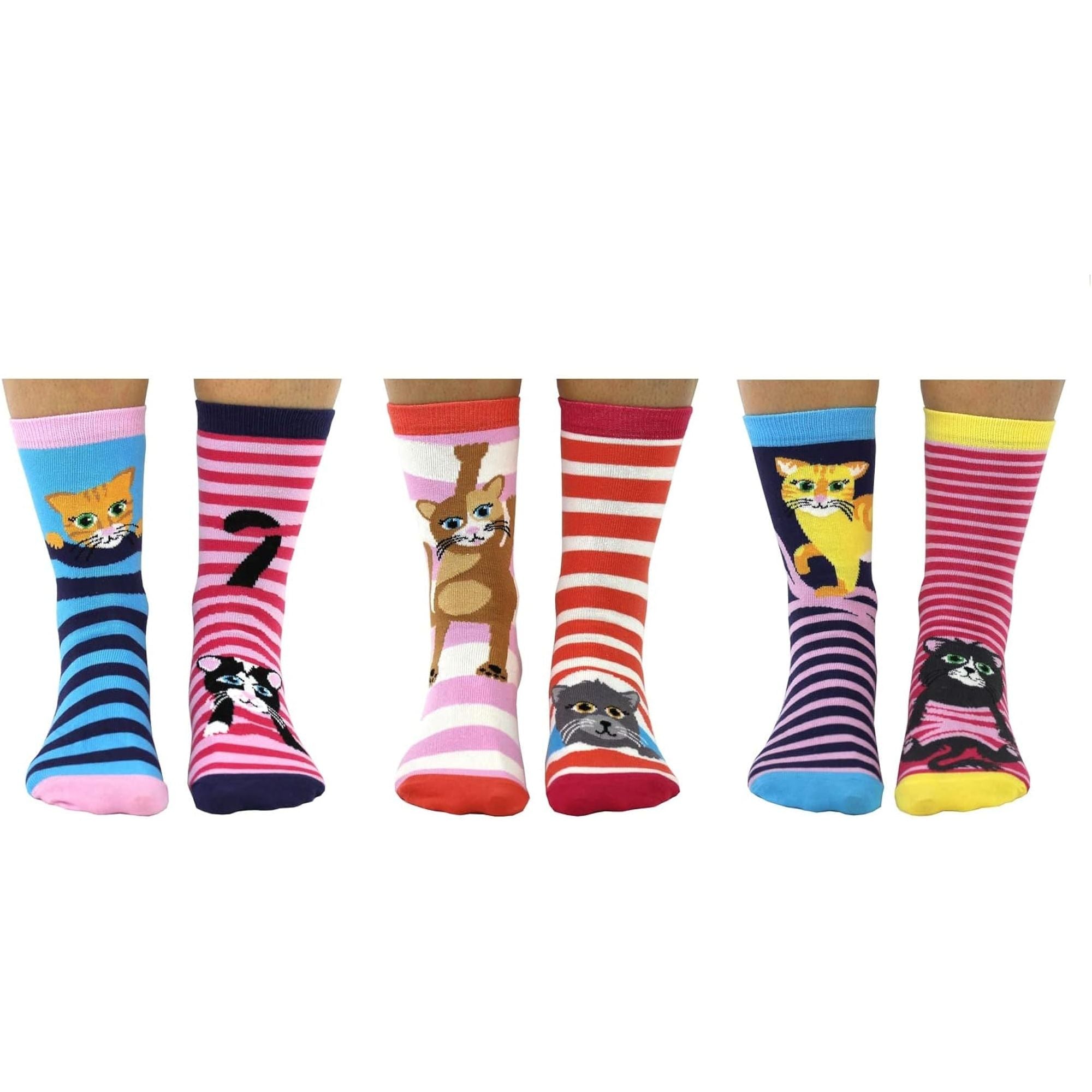 Feline Good Socks