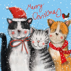 Festive Cats Cards, by Alex Clark