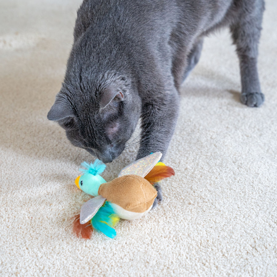 Flapperz Duck Cat Toy