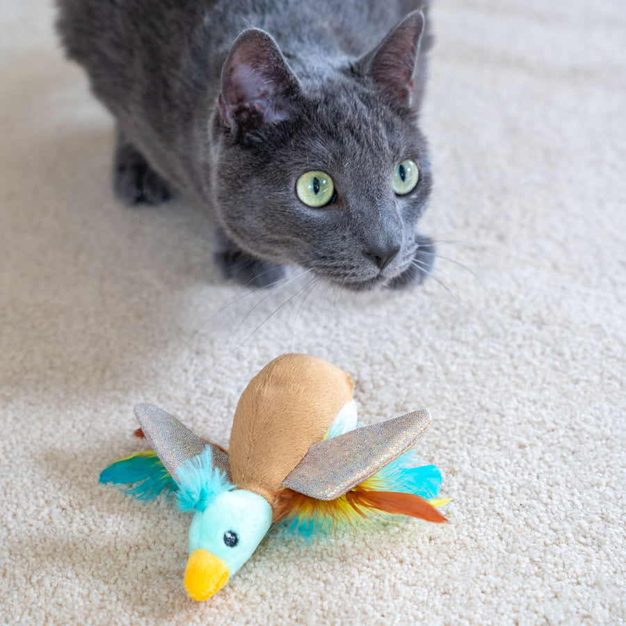 Flapperz Duck Cat Toy