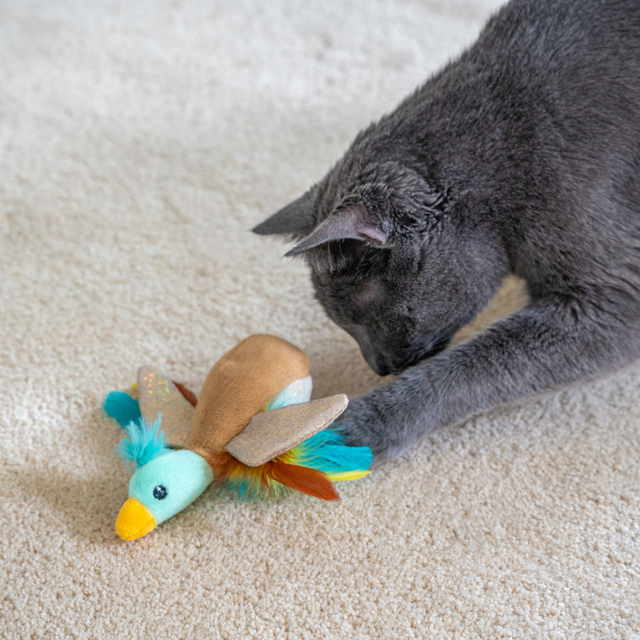 Flapperz Duck Cat Toy