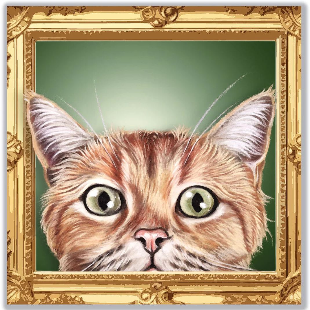 Framed Ginger Cat Greetings Card