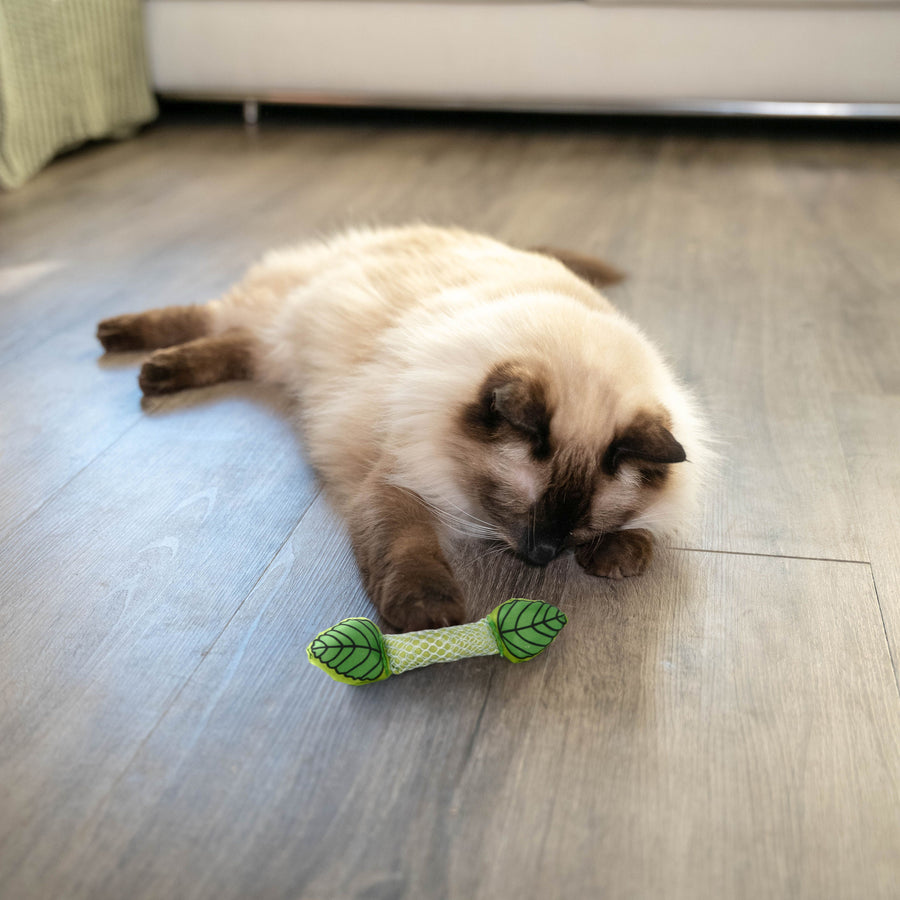 Fresh Breath Mint Stick Cat Toy