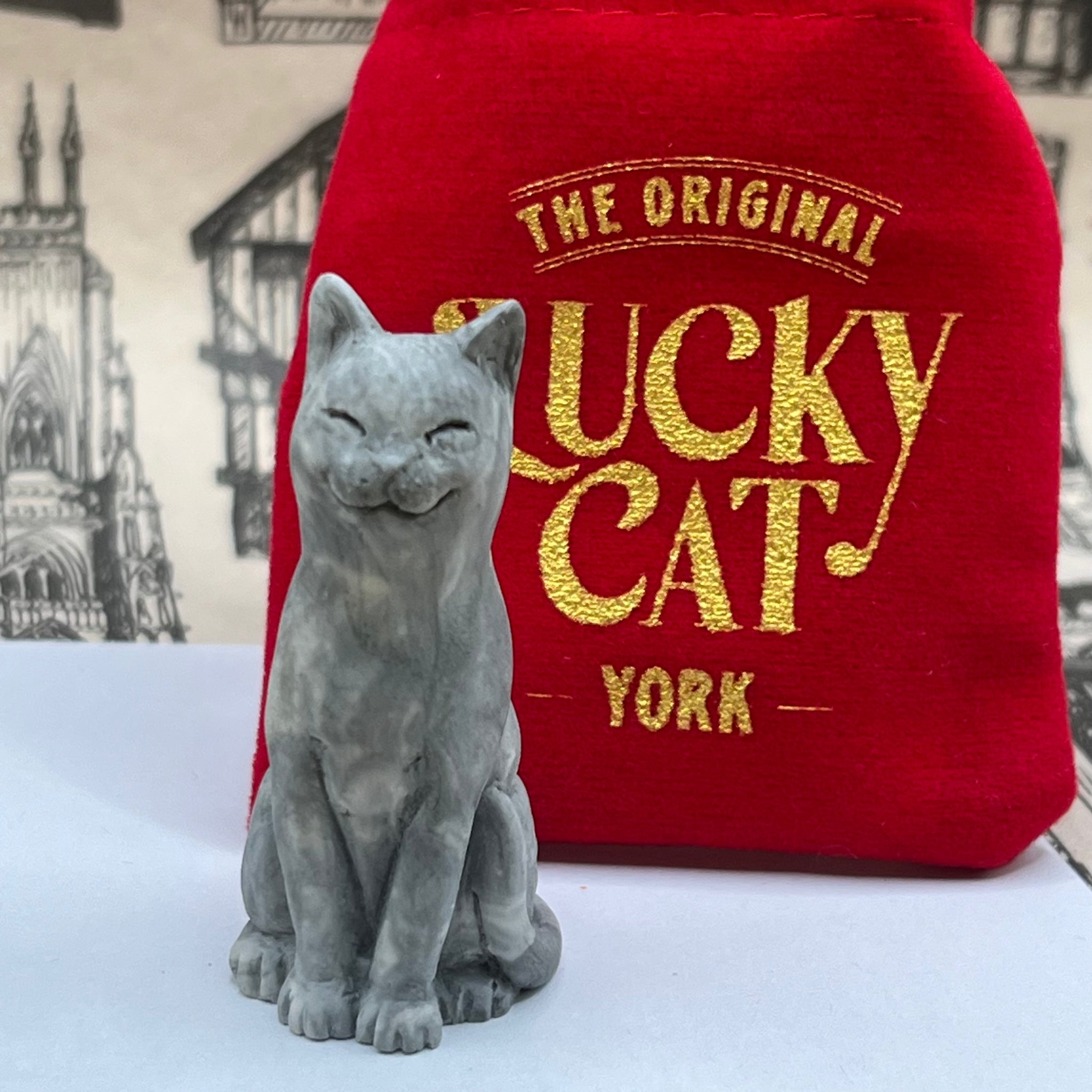 Grey Silver Tabby Original Lucky Kitten