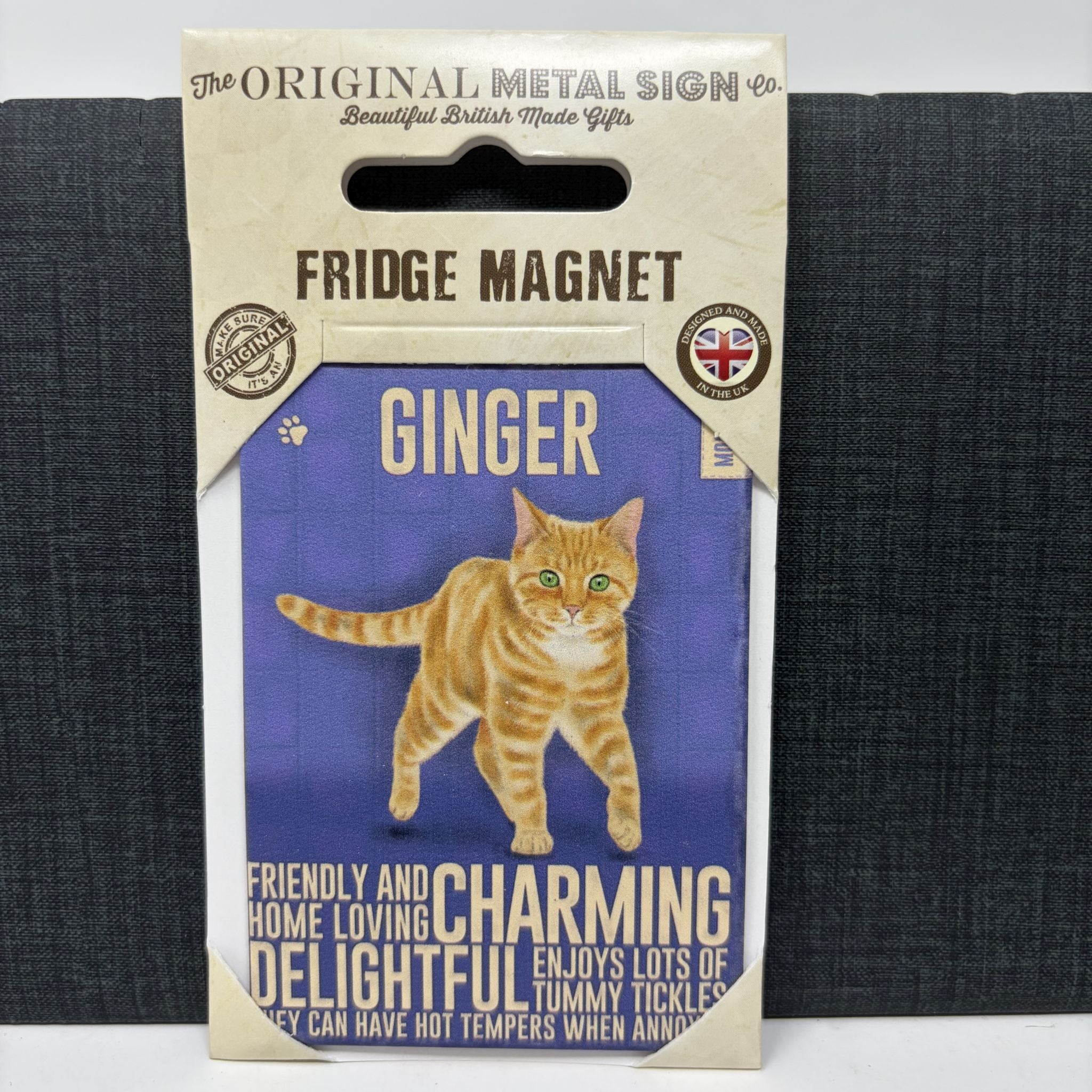 Ginger Cat Fridge Magnet