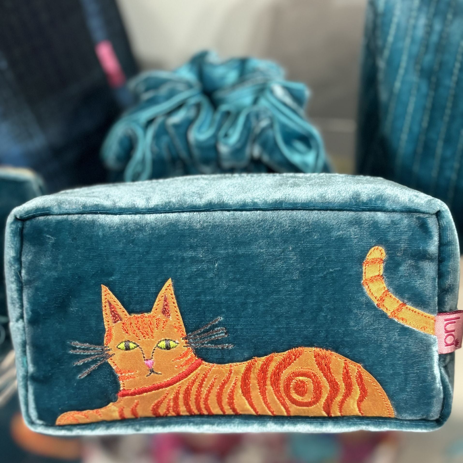 Ginger Cat Velvet Pouch