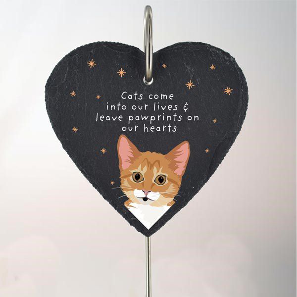 Ginger Cat Slate Hanging Sign