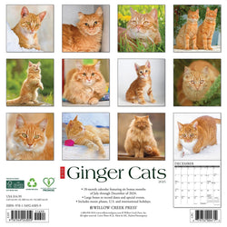 Ginger Cats 2025 Wall Calendar