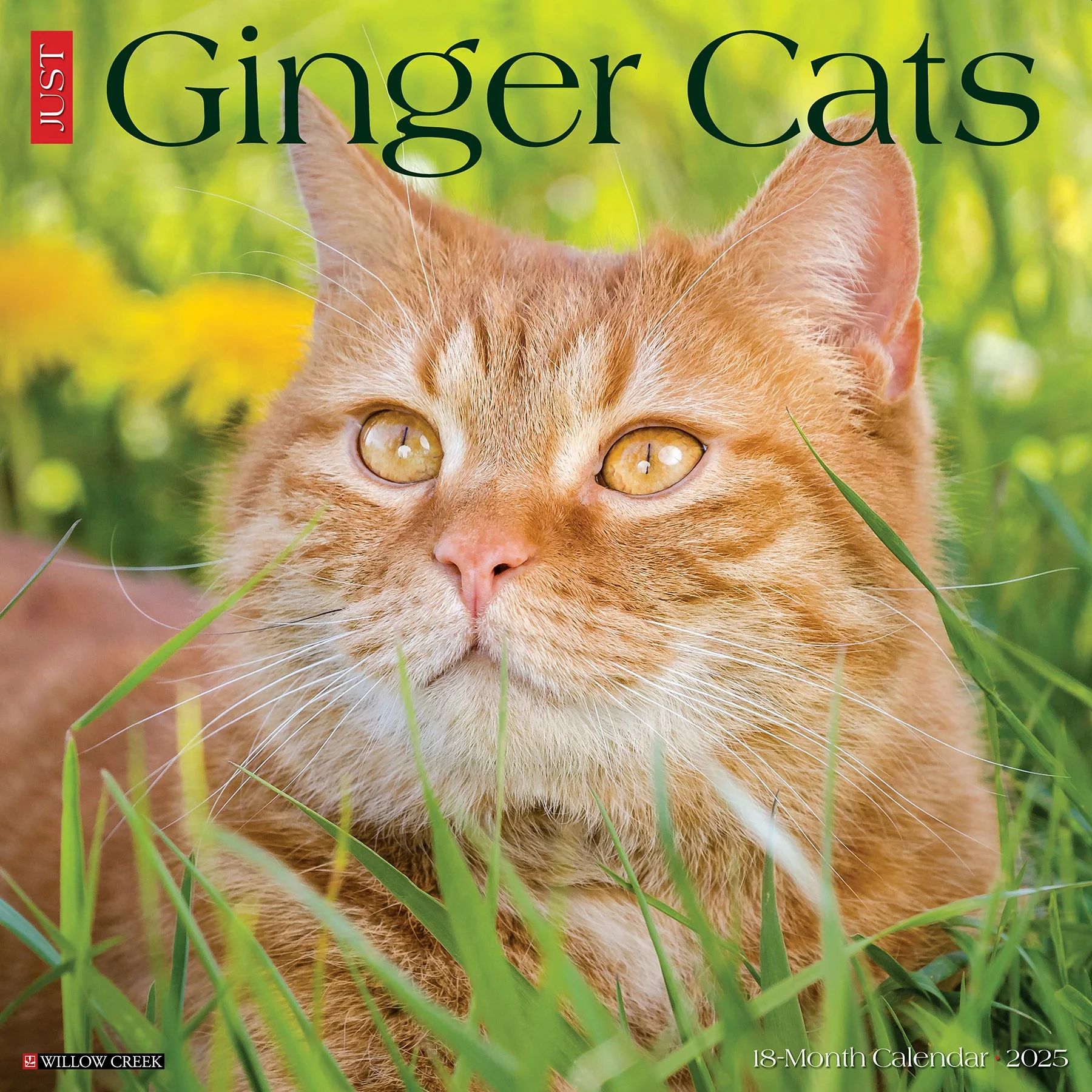 Ginger Cats 2025 Wall Calendar