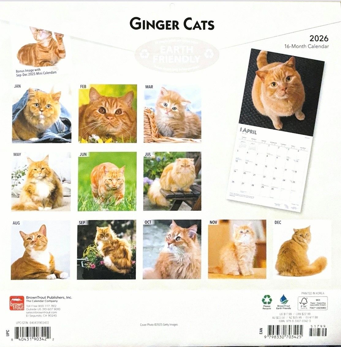 Ginger Cats 2026 Wall Calendar