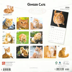 Ginger Cats 2026 Wall Calendar