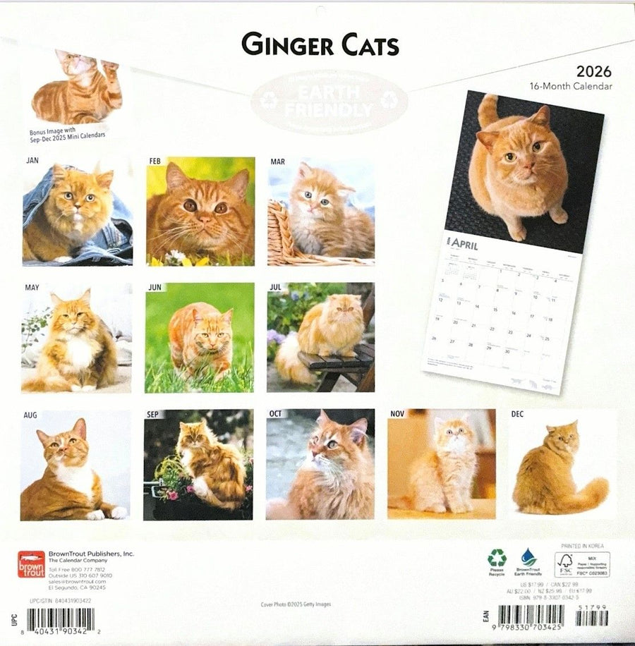 Ginger Cats 2026 Wall Calendar