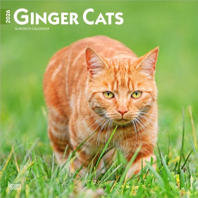 Ginger Cats 2026 Wall Calendar