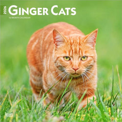 Ginger Cats 2026 Wall Calendar