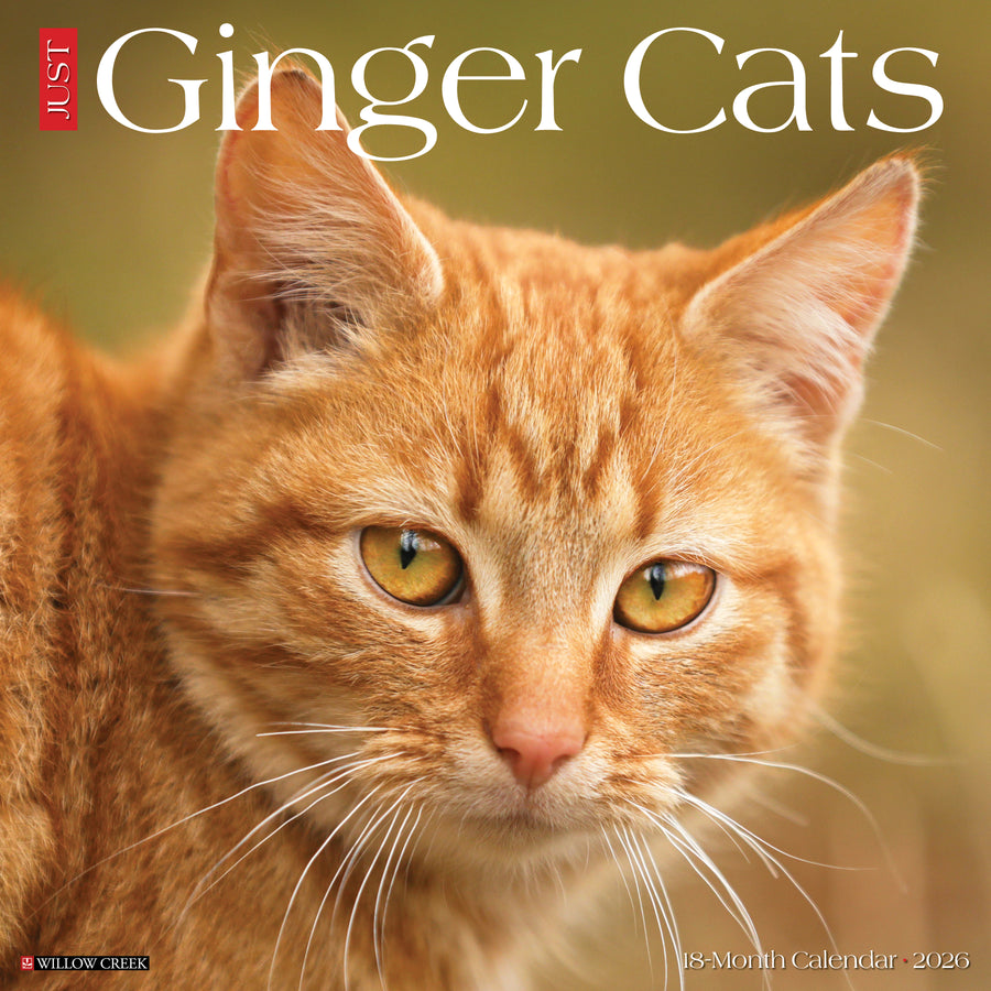 Ginger Cats 2026 Wall Calendar