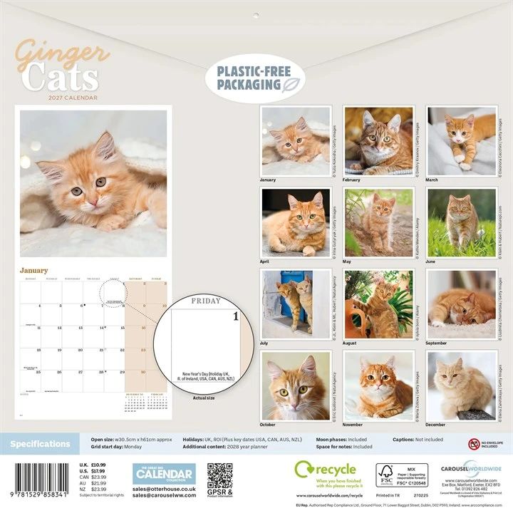 2027 ginger Calendar back cover featuring ginger cats with a plastic-free packaging label.