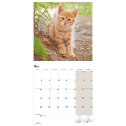 Ginger kitten image, the Ginger Cats calendar page for May 2027 with space to note daily engagements