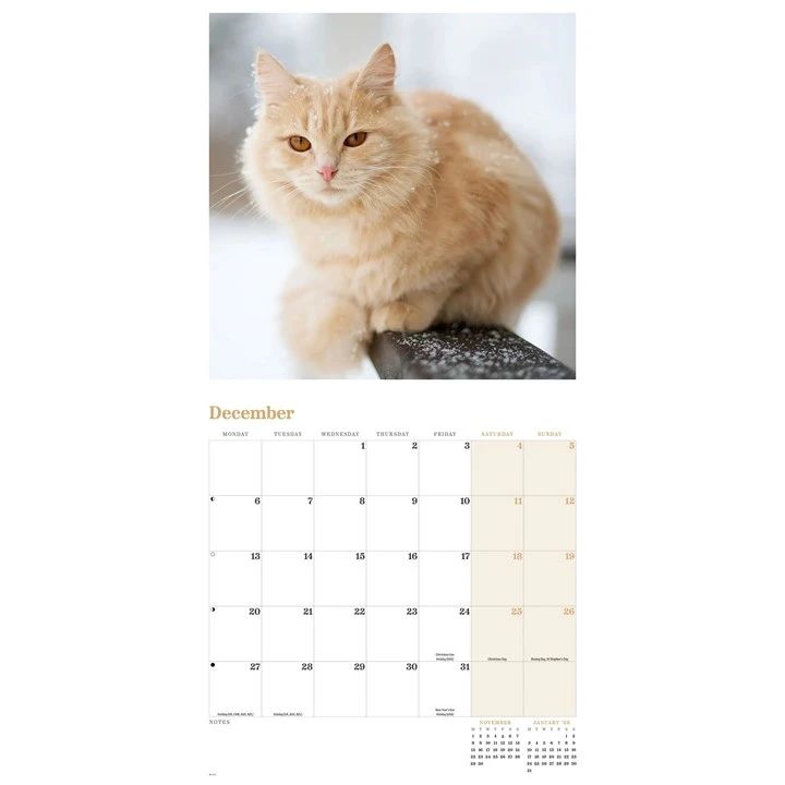 Ginger cat calendar page with a cat and December month text on a white background plus space to note engagements