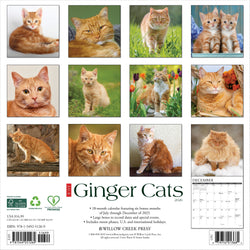 Ginger Cats 2026 Wall Calendar