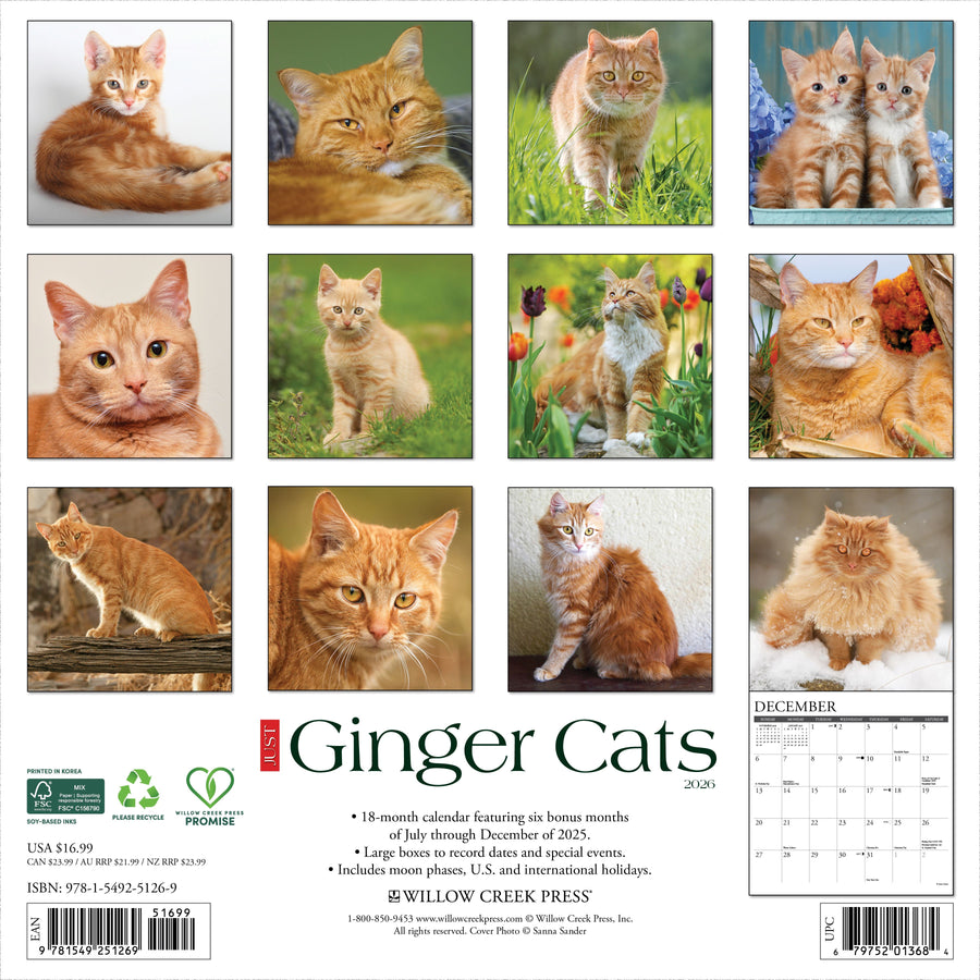 Ginger Cats 2026 Wall Calendar