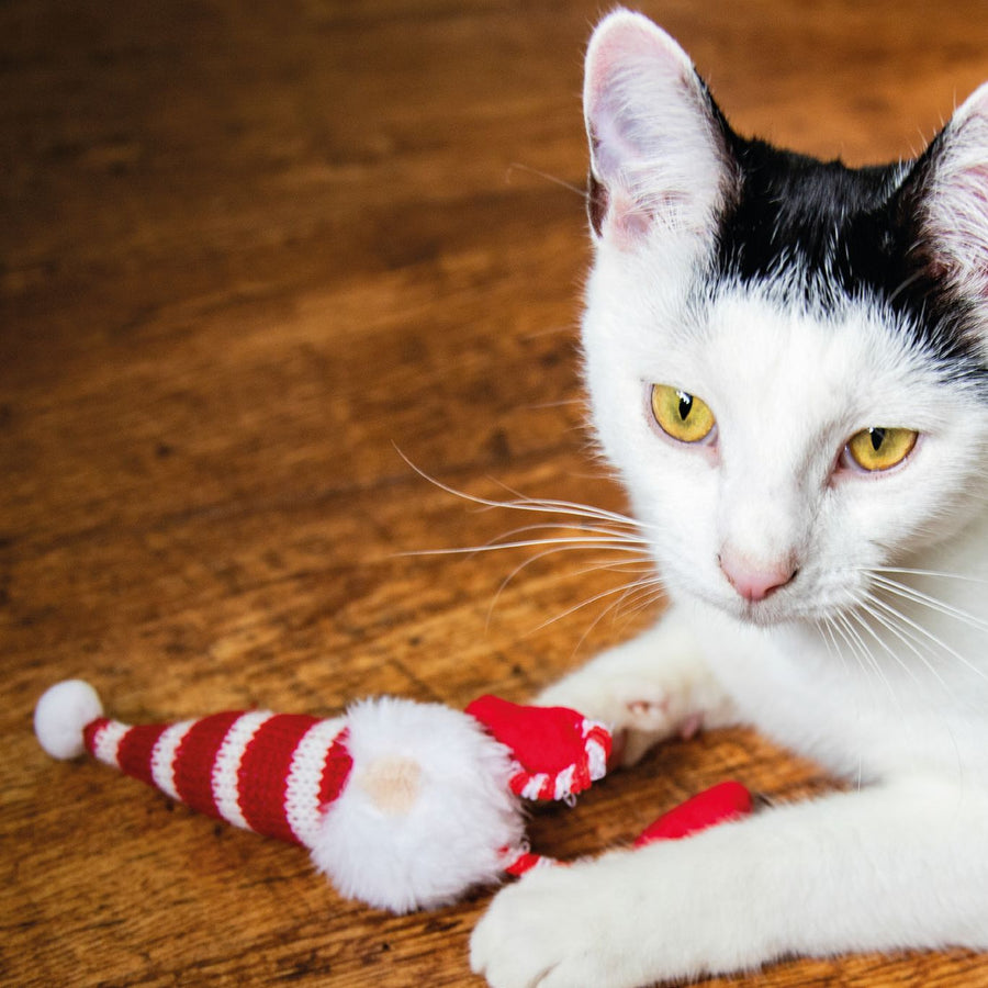 Festive Gonk Cat Toy