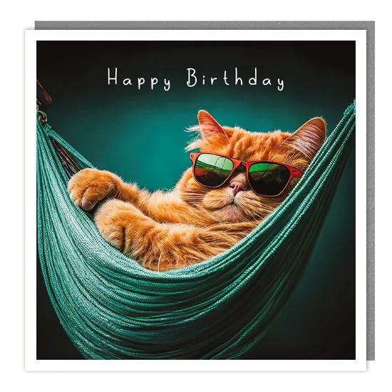 Hammock Kitty Photographic Card