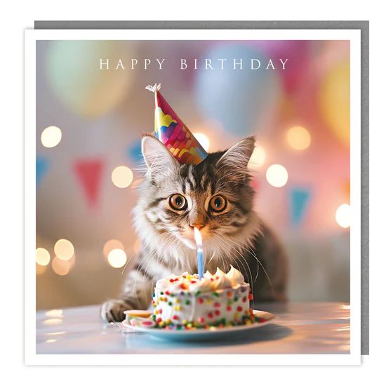 Birthday Kitty Photographic Card