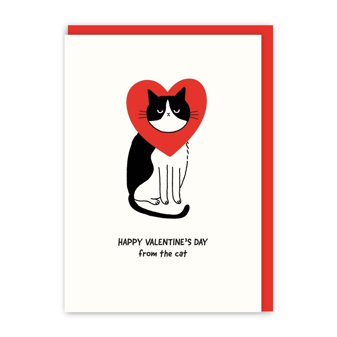 Happy Valentines Day from the Cat Card