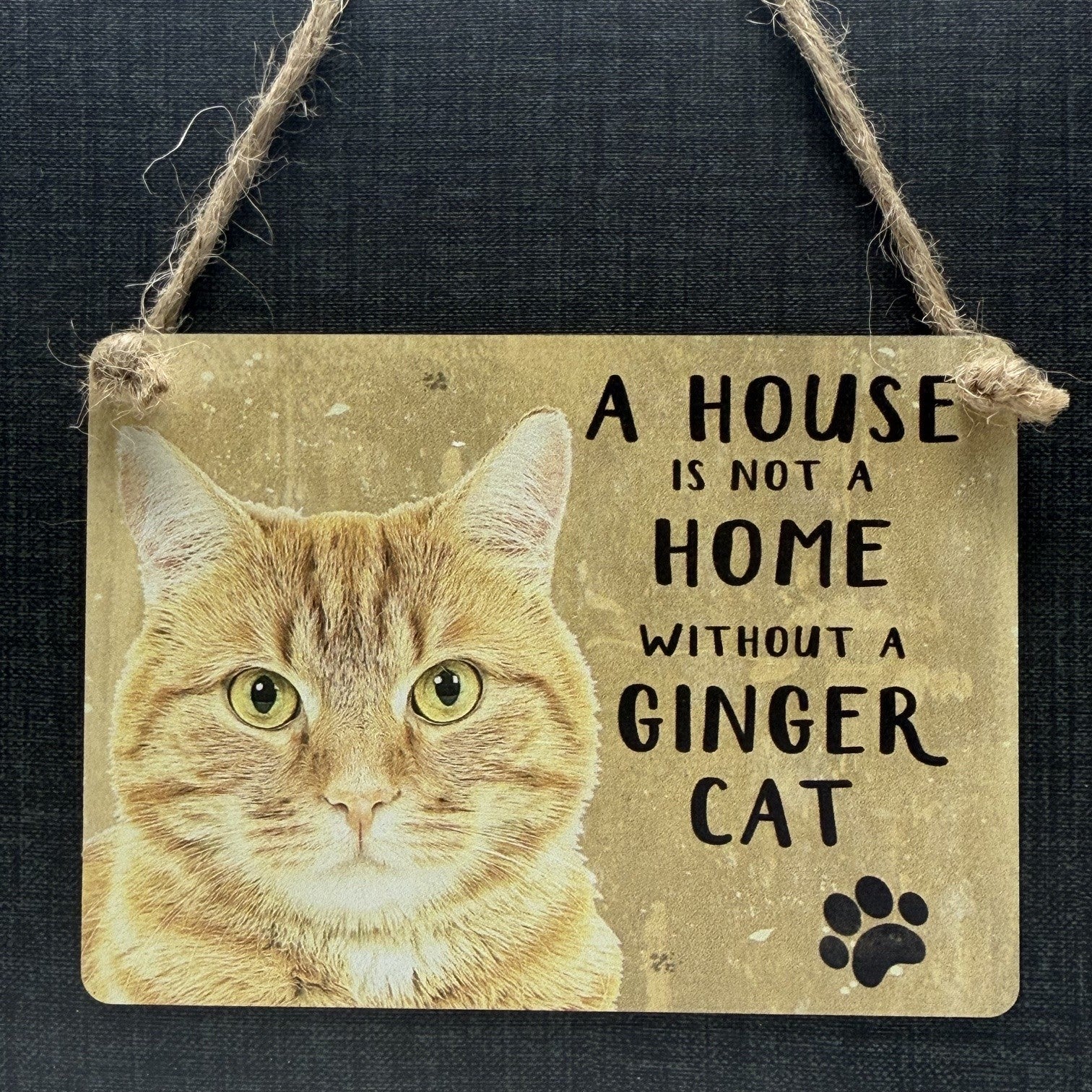 A House is not a Home, Ginger Cat Dangler