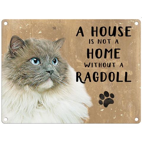 A House Magnet, Ragdoll Cat