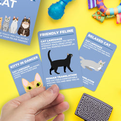 Hand holding a card with cat behavior illustrations and text on a yellow background