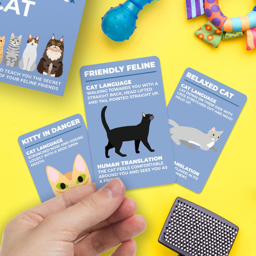 Hand holding a card with cat behavior illustrations and text on a yellow background
