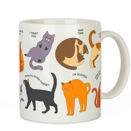 How to Cat Speak Mug