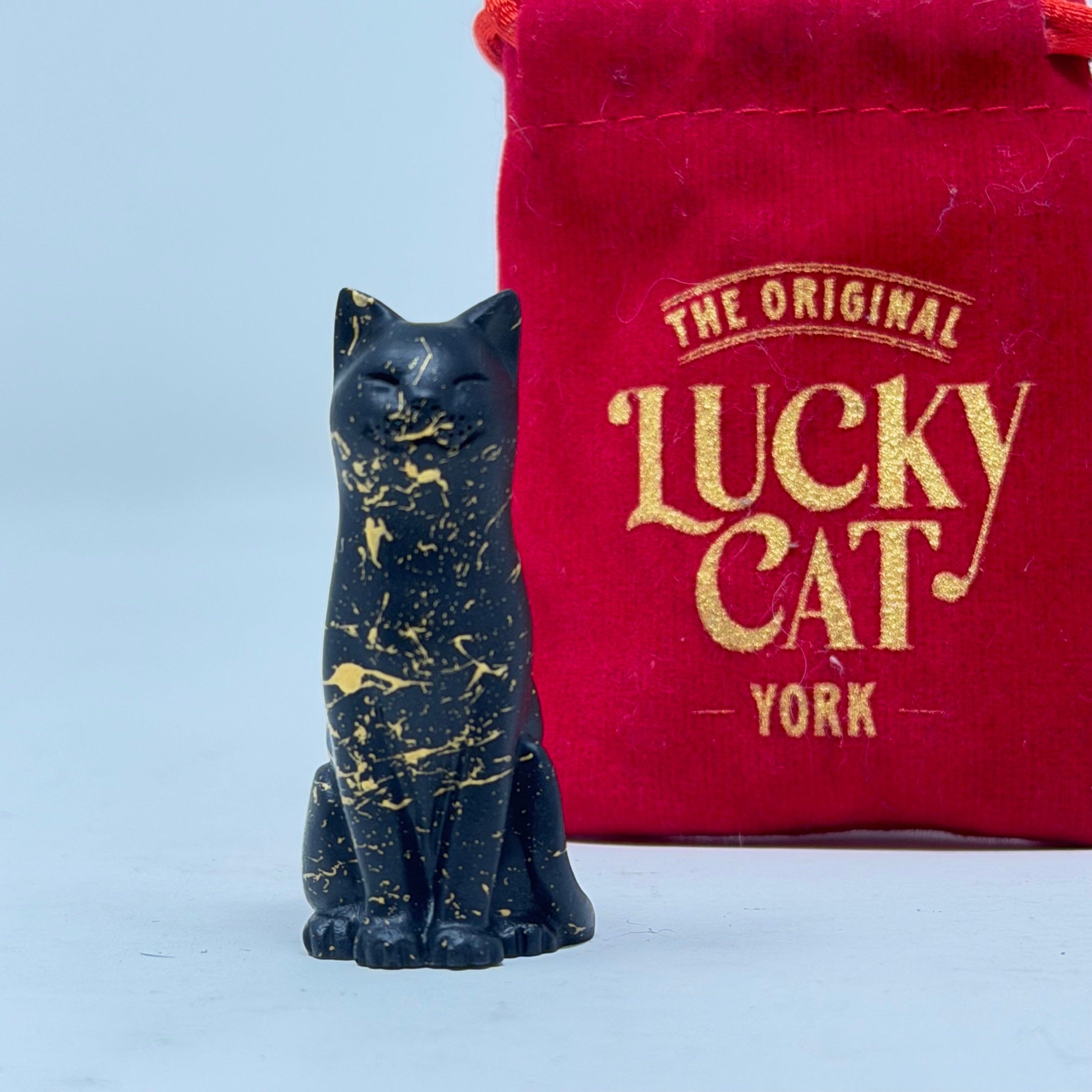 Au Noir Lucky Kitten