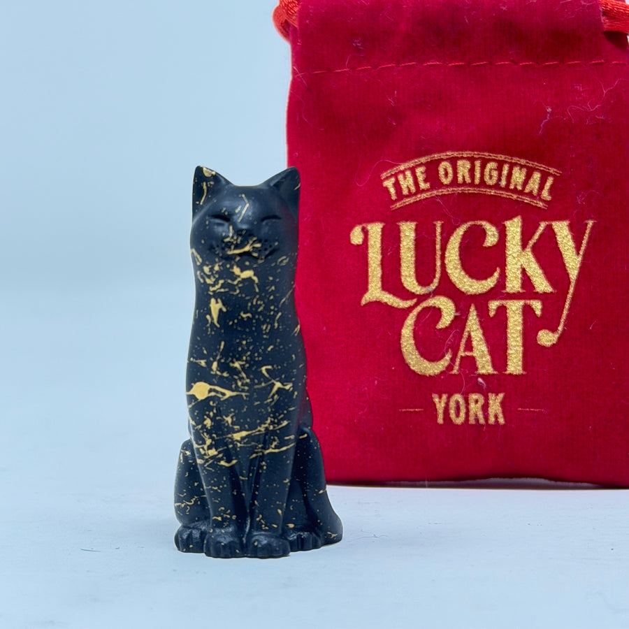Au Noir Lucky Kitten