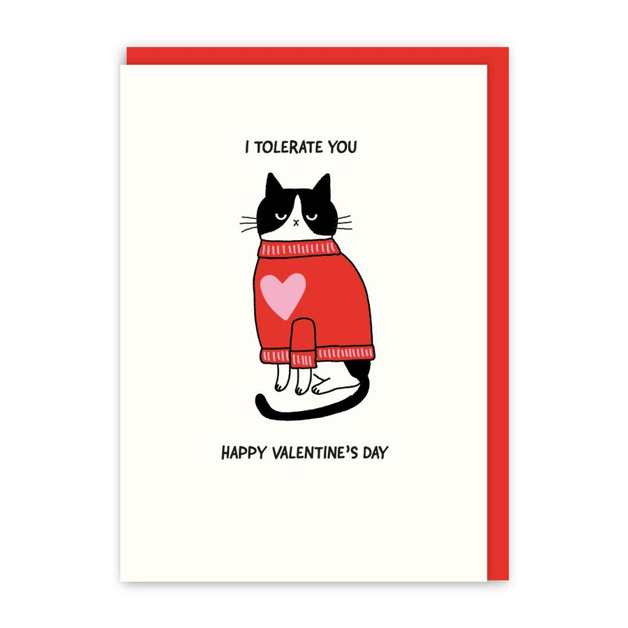 I Tolerate You Valentines Card